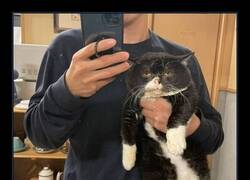 Enlace a Su cara es un poema