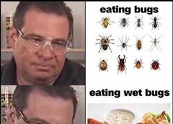 Enlace a Bichos y bichos