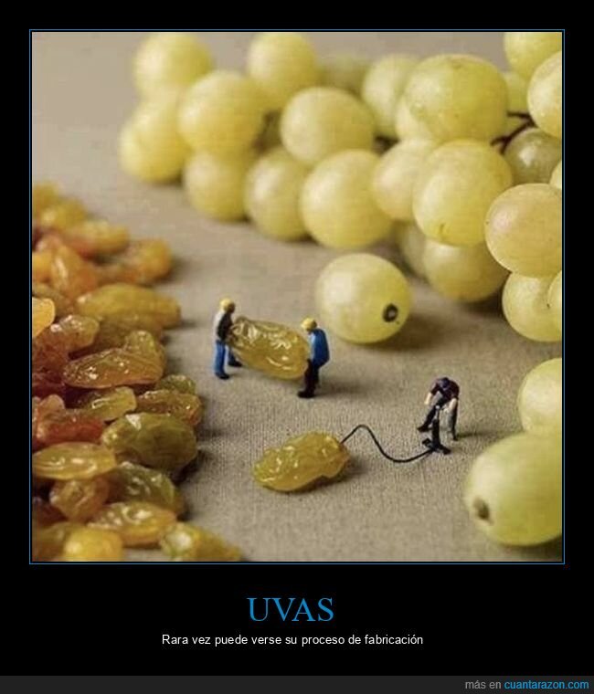 uvas,pasas,hinchando