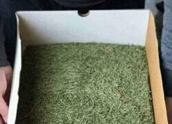 Enlace a Ahora solo hay que montarlo