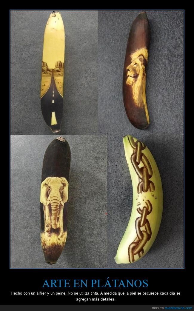 arte,plátanos