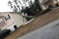 Enlace a Leñador amateur