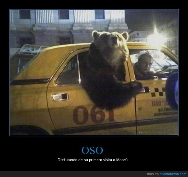 oso,taxi,wtf