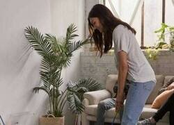 Enlace a Una nueva modalidad