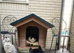 Enlace a Ahora les pertenece a ellos