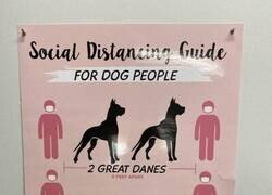 Enlace a Perros como unidad de medida