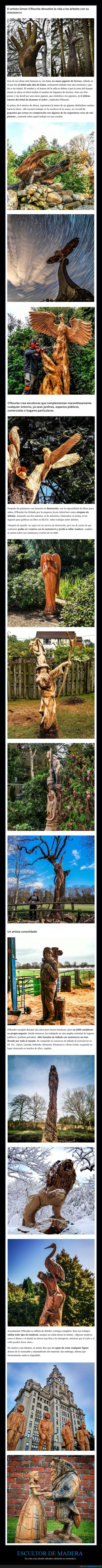 escultor,madera,árboles