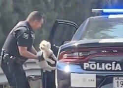 Enlace a Bros para siempre