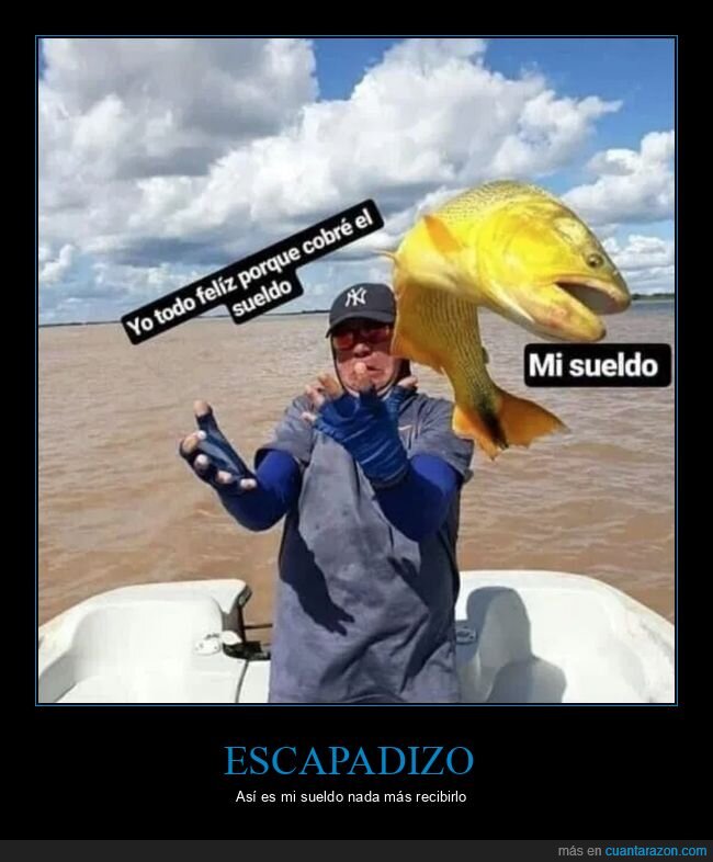 pescado,escapar,sueldo,pe