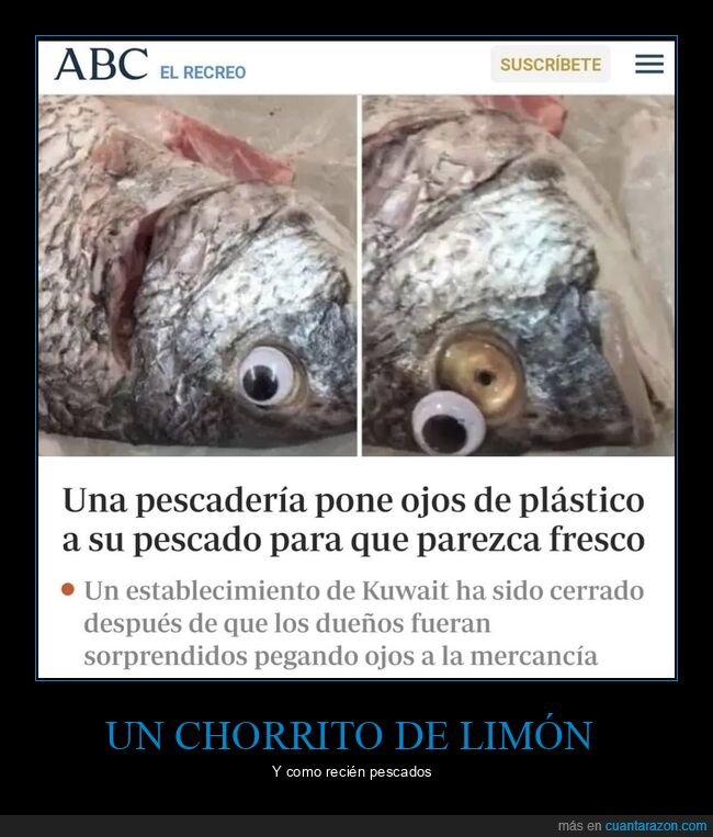 ojos de plástico,pez,pescado,fresco