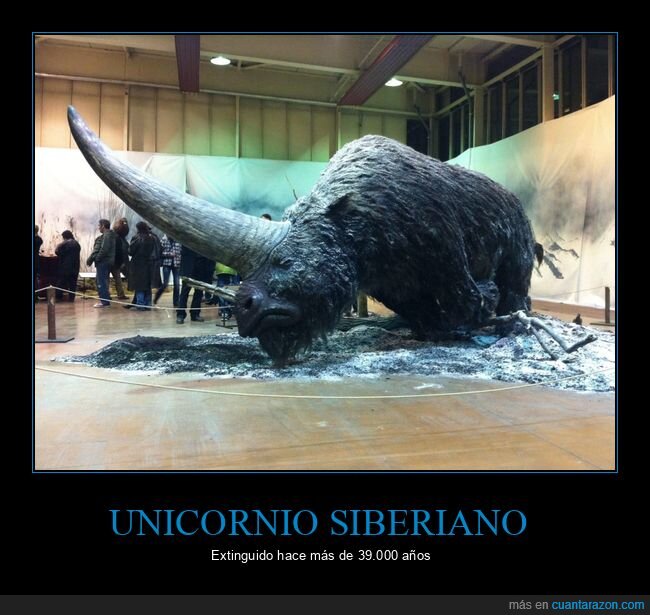 unicornio,siberia,prehistoria