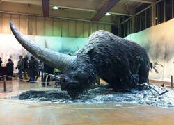 Enlace a UNICORNIO SIBERIANO