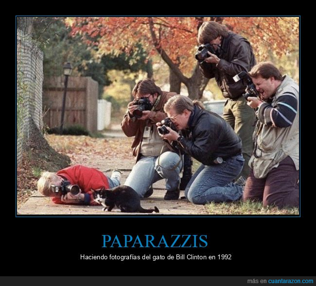 paparazzis,gato,bill clinton