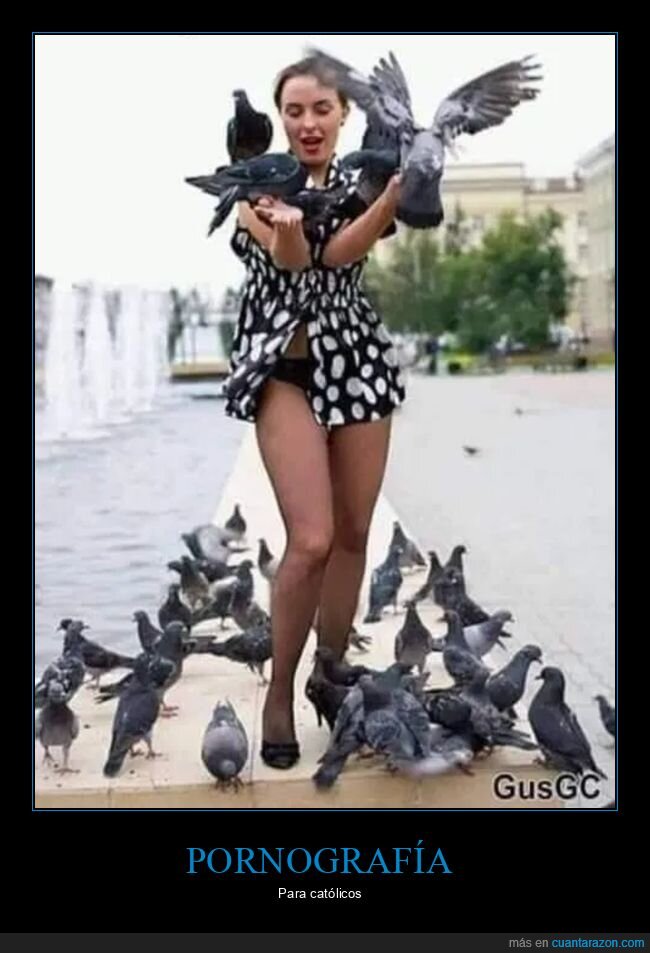 católicos,palomas