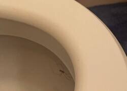 Enlace a Desagradable sensación