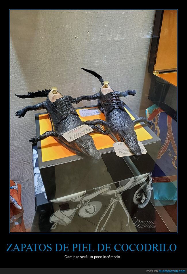 zapatos,cocodrilos,wtf