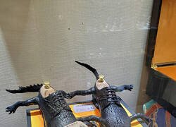 Enlace a ZAPATOS DE PIEL DE COCODRILO