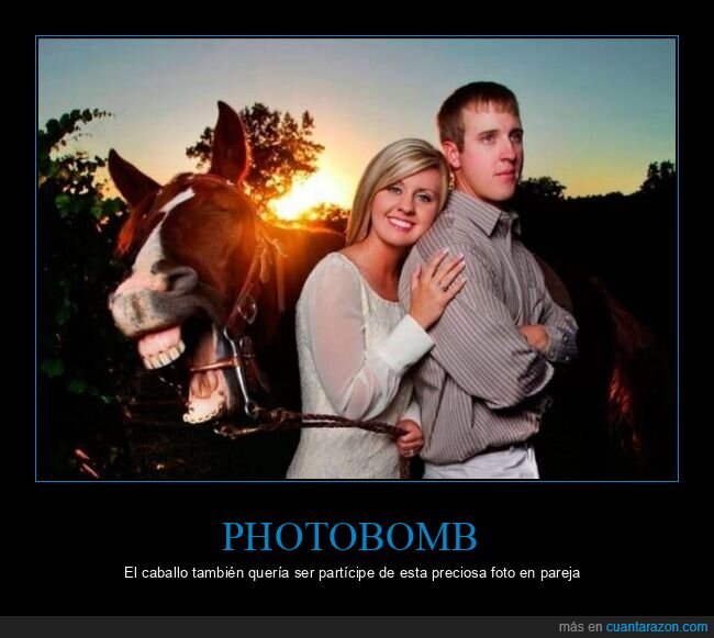 photobomb,caballo,pareja
