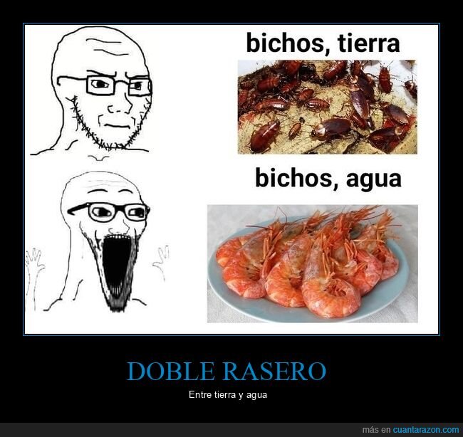 gambas,escarabajos,comida,bichos