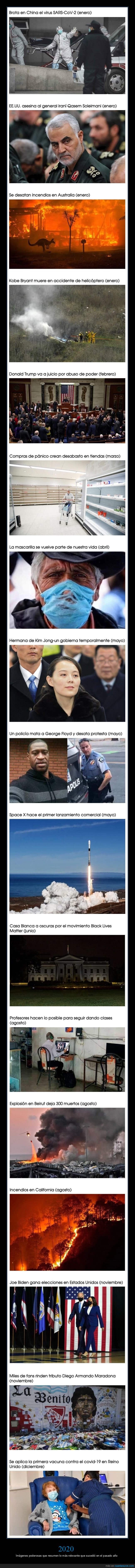 2020,resumen