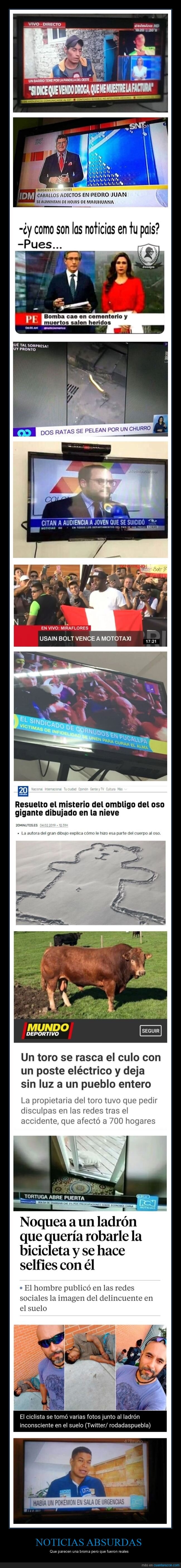noticias,absurdas,wtf