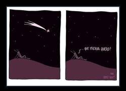 Enlace a Indeciso
