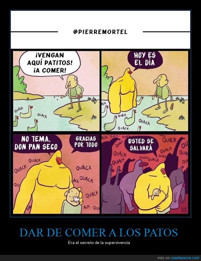 pan,patos,salvarse