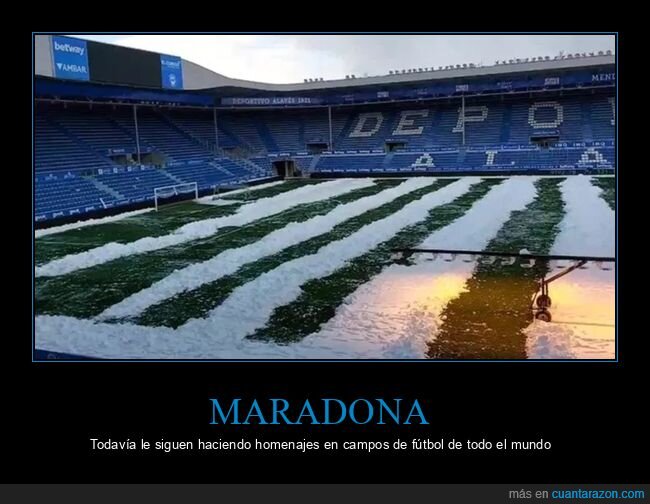 campo de fútbol,homenaje,maradona,rayas