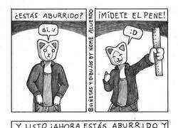 Enlace a Acabando con el aburrimiento