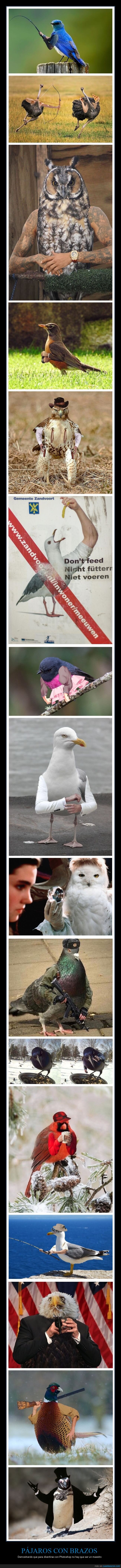 pájaros,brazos
