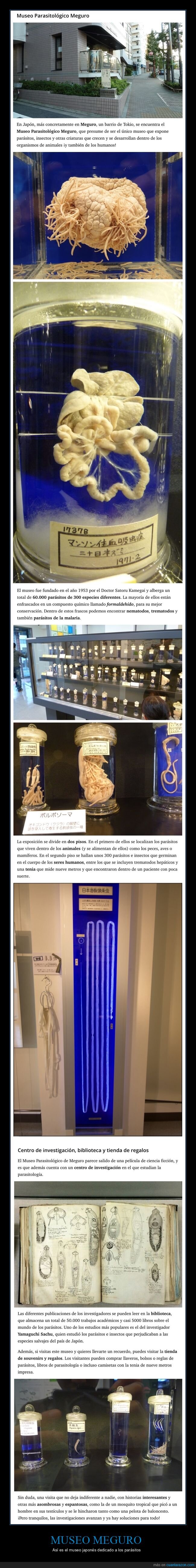 museo,parásitos,japón