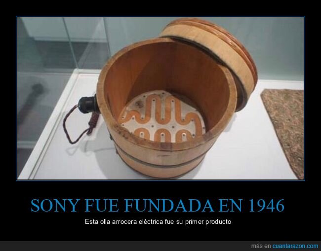 sony,arrocera,producto