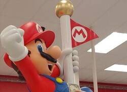 Enlace a Pluriempleado