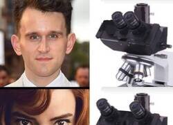 Enlace a Miradas dispares