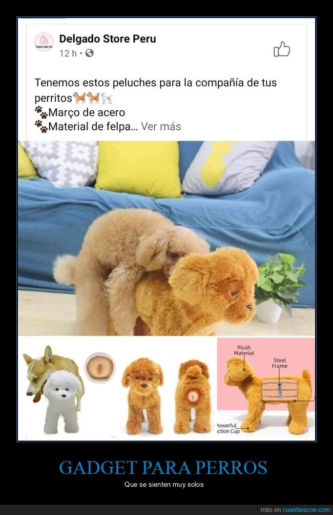 compañía,peluches,perros,wtf