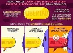 Enlace a La paradoja de la tolerancia