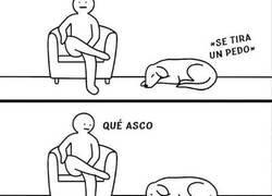 Enlace a Podría ser peor