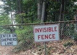 Enlace a Invisible pero no mucho