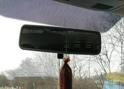 Enlace a Ambientador rural