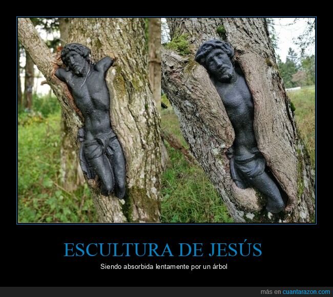 escultura,jesús,absorbida,árbol