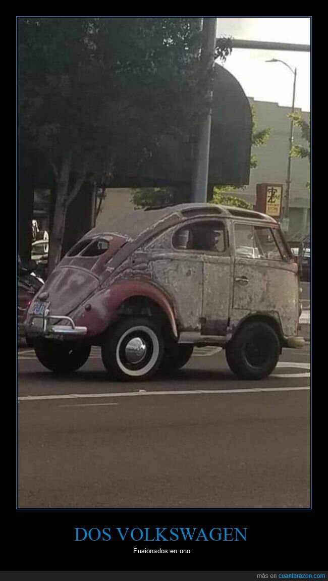 volkswagen,escarabajo,furgoneta,fusionados,coches,wtf