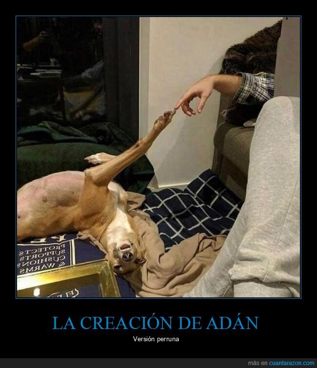 perro,la creación de adán