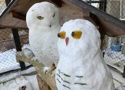 Enlace a No le gusta