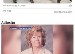 Enlace a Personas que tuvieron su merecido gracias al karma instantáneo