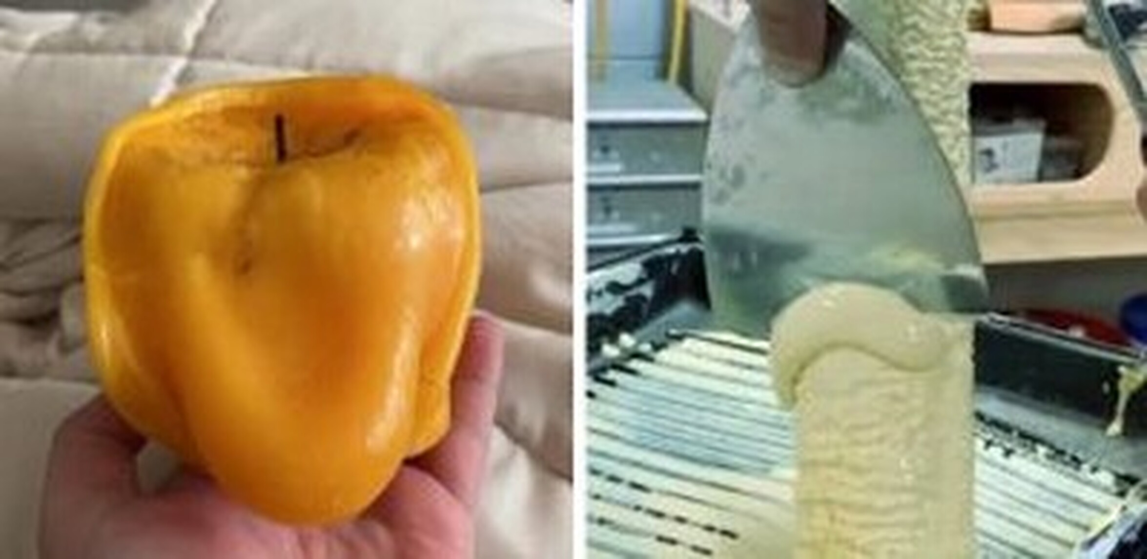 ¡Cuánta razón! / Fotos que no son lo que parecen a primera vista