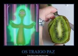 Enlace a El kiwi que te trae paz