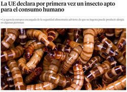 Enlace a ¿Hay hambre?