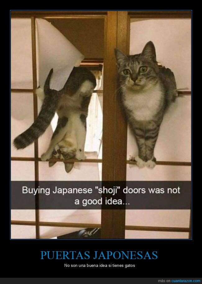 puertas,japonesas,gatos,fails