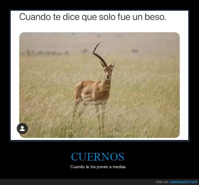 beso,cuerno,cuernos