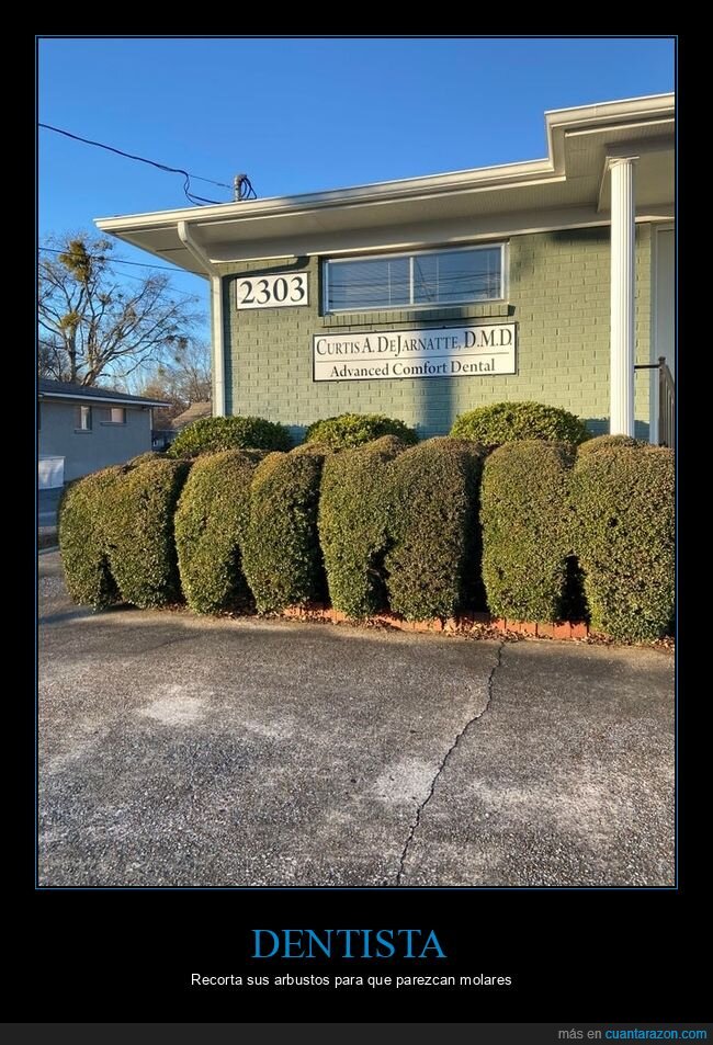 dentista,arbustos,muelas